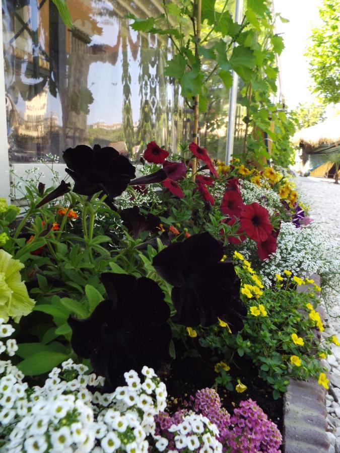 Ristorante Albergo Corona Novi Ligure Eksteriør billede